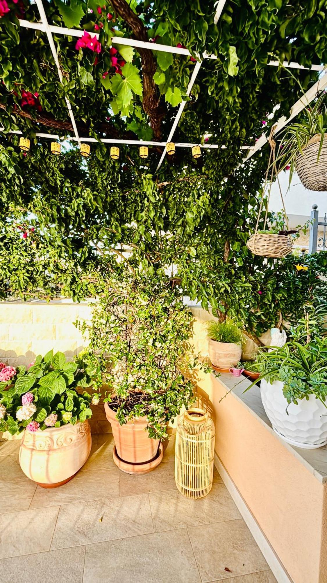 Apartment Sunny Elza 2 Đảo Hvar Ngoại thất bức ảnh